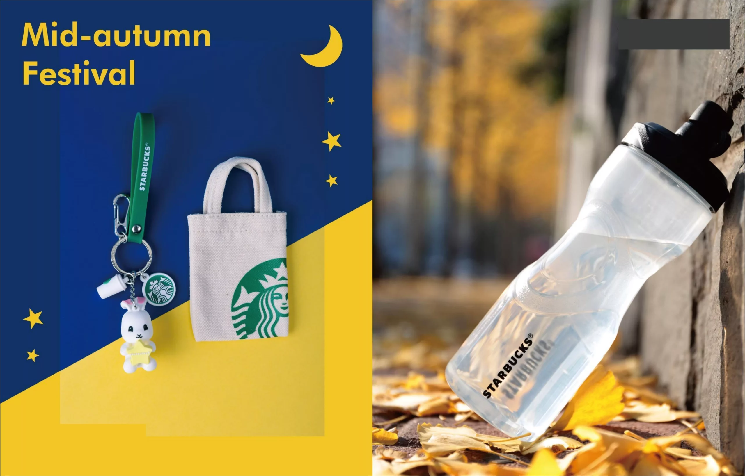 Premium Onboarding Experience